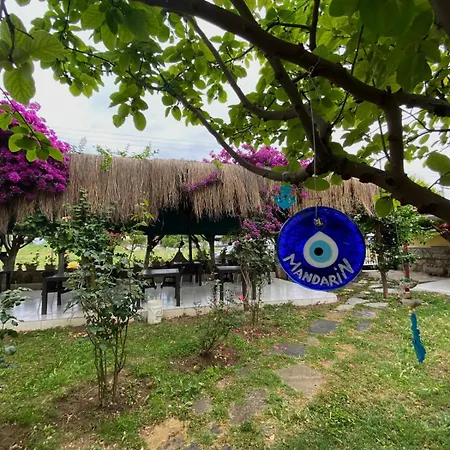 Mandarin Ξενοδοχείο *